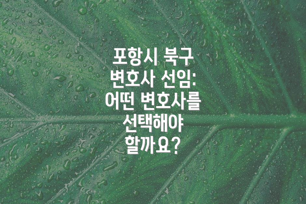 포항시 북구 변호사 선임: 어떤 변호사를 선택해야 할까요?