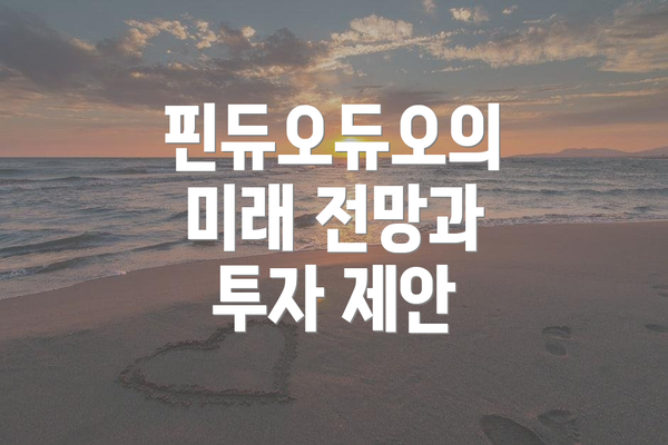 핀듀오듀오의 미래 전망과 투자 제안