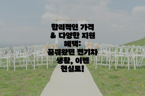 합리적인 가격 & 다양한 지원 혜택:  꿈꿔왔던 전기차 생활, 이젠 현실로!