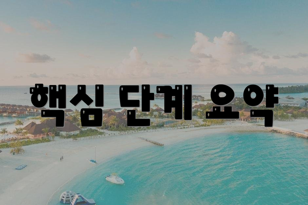 핵심 단계 요약