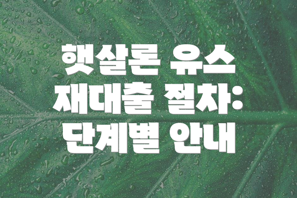 햇살론 유스 재대출 절차: 단계별 안내