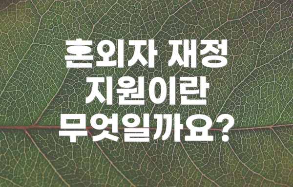혼외자 재정 지원이란 무엇일까요?