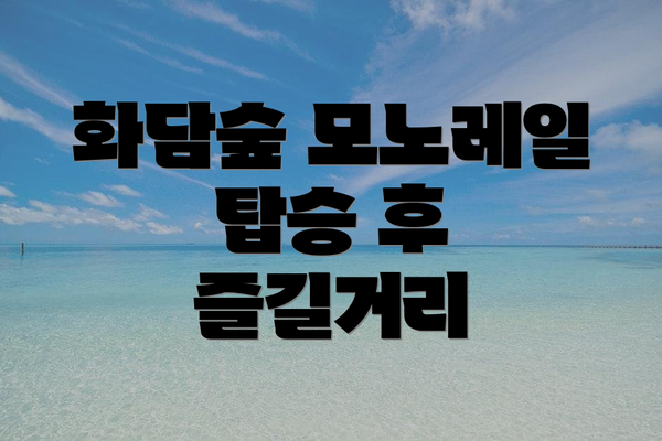 화담숲 모노레일 탑승 후 즐길거리
