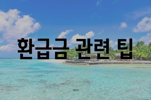 환급금 관련 팁