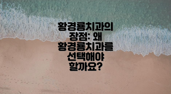 황경룡치과의 장점: 왜 황경룡치과를 선택해야 할까요?