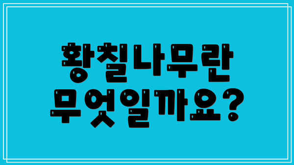 황칠나무란 무엇일까요?
