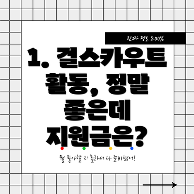 1. 걸스카우트 활동, 정말 좋은데 지원금은?