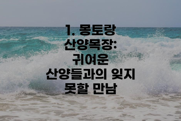 1. 몽토랑 산양목장: 귀여운 산양들과의 잊지 못할 만남