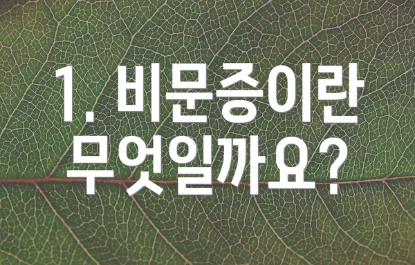 1. 비문증이란 무엇일까요?