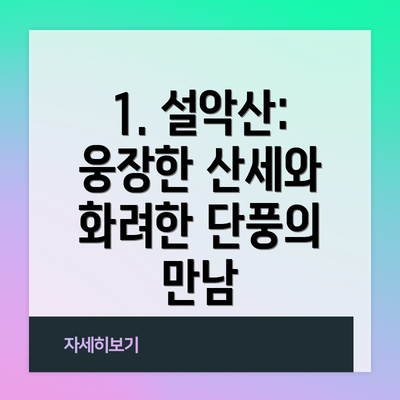 1. 설악산: 웅장한 산세와 화려한 단풍의 만남