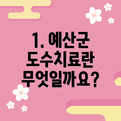 1. 예산군 도수치료란 무엇일까요?