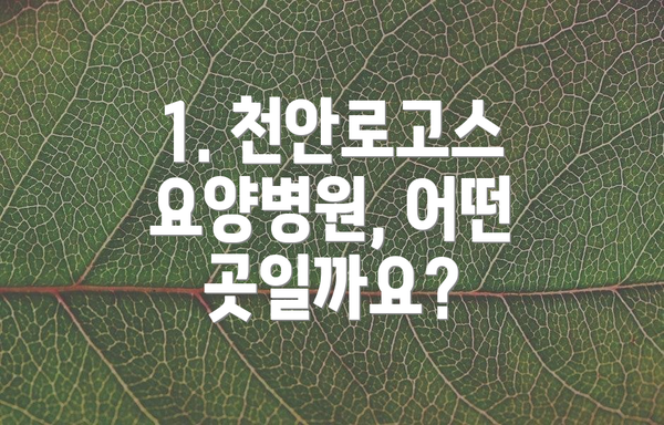 1. 천안로고스요양병원, 어떤 곳일까요?