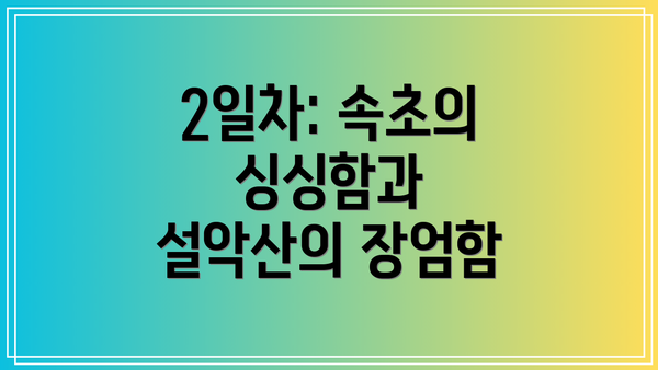 2일차: 속초의 싱싱함과 설악산의 장엄함