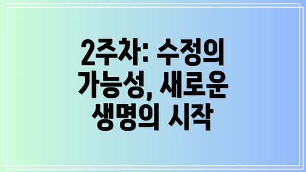 2주차: 수정의 가능성, 새로운 생명의 시작