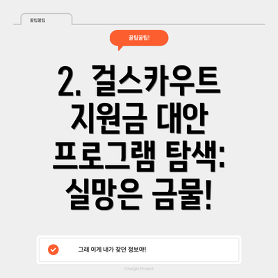 2. 걸스카우트 지원금 대안 프로그램 탐색: 실망은 금물!