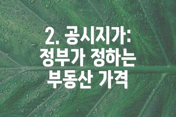 2. 공시지가: 정부가 정하는 부동산 가격