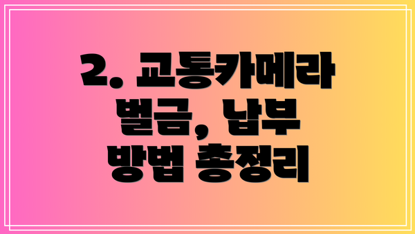 2. 교통카메라 벌금, 납부 방법 총정리