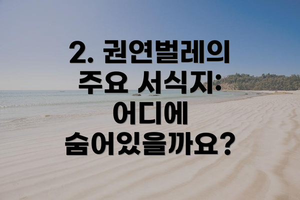 2. 권연벌레의 주요 서식지: 어디에 숨어있을까요?