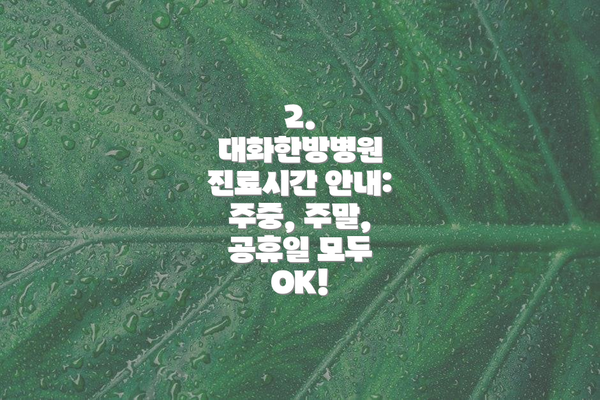 2. 대화한방병원 진료시간 안내: 주중, 주말, 공휴일 모두 OK!