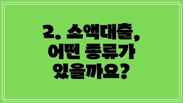 2. 소액대출, 어떤 종류가 있을까요?