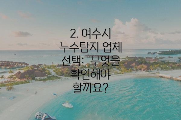 2. 여수시 누수탐지 업체 선택:  무엇을 확인해야 할까요?