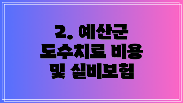 2. 예산군 도수치료 비용 및 실비보험