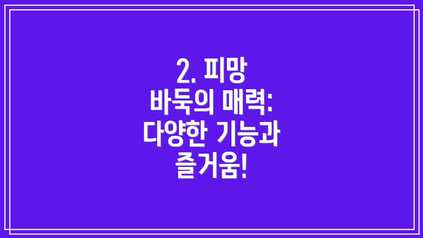 2. 피망 바둑의 매력: 다양한 기능과 즐거움!