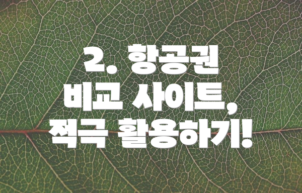 2. 항공권 비교 사이트, 적극 활용하기!