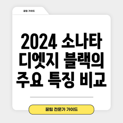2024 소나타 디엣지 블랙의 주요 특징 비교