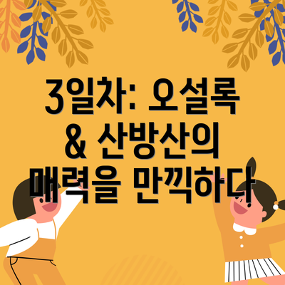 3일차: 오설록 & 산방산의 매력을 만끽하다