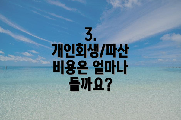 3. 개인회생/파산 비용은 얼마나 들까요?