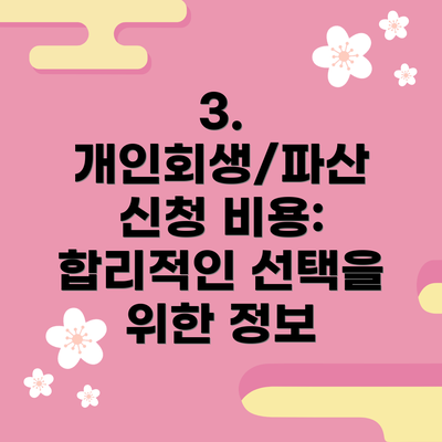 3. 개인회생/파산 신청 비용:  합리적인 선택을 위한 정보