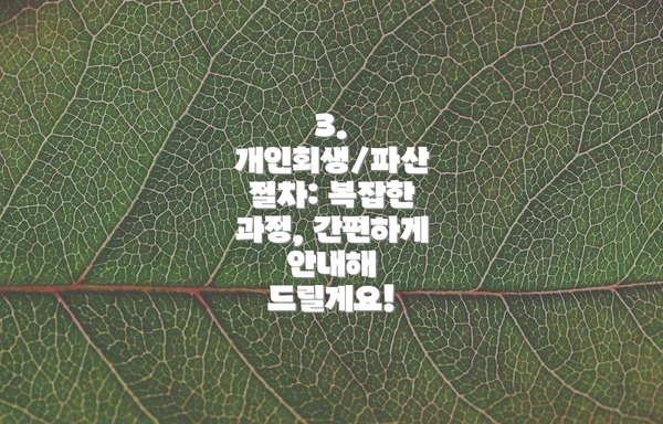3. 개인회생/파산 절차: 복잡한 과정, 간편하게 안내해 드릴게요!