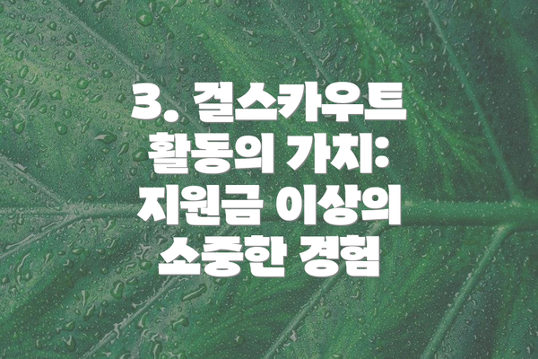 3. 걸스카우트 활동의 가치: 지원금 이상의 소중한 경험