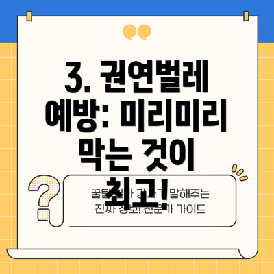 3. 권연벌레 예방: 미리미리 막는 것이 최고!