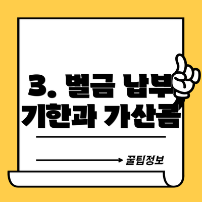 3. 벌금 납부 기한과 가산금