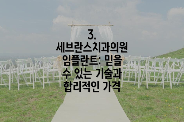 3.  세브란스치과의원 임플란트: 믿을 수 있는 기술과 합리적인 가격