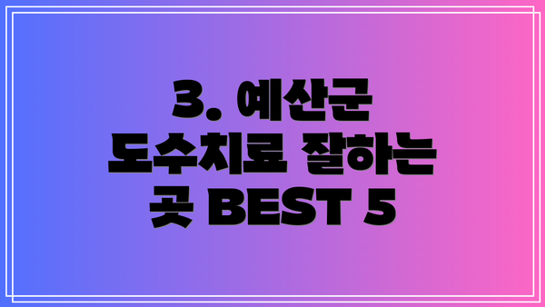 3. 예산군 도수치료 잘하는 곳 BEST 5