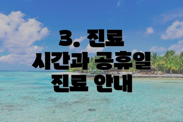 3. 진료 시간과 공휴일 진료 안내