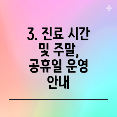 3. 진료 시간 및 주말, 공휴일 운영 안내