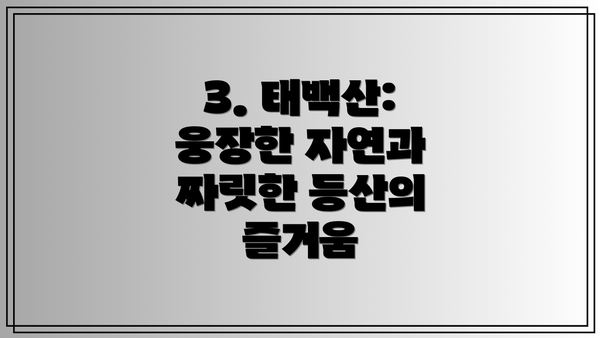 3. 태백산: 웅장한 자연과 짜릿한 등산의 즐거움