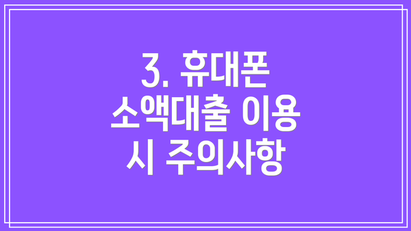 3. 휴대폰 소액대출 이용 시 주의사항