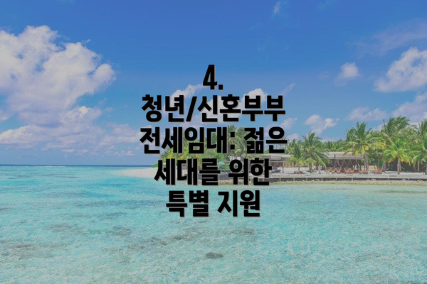 4.  청년/신혼부부 전세임대: 젊은 세대를 위한 특별 지원