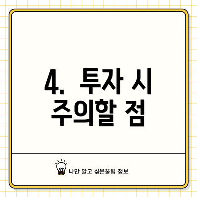 4.  투자 시 주의할 점