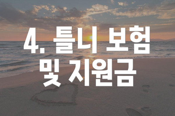 4. 틀니 보험 및 지원금