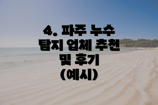 4. 파주 누수 탐지 업체 추천 및 후기 (예시)