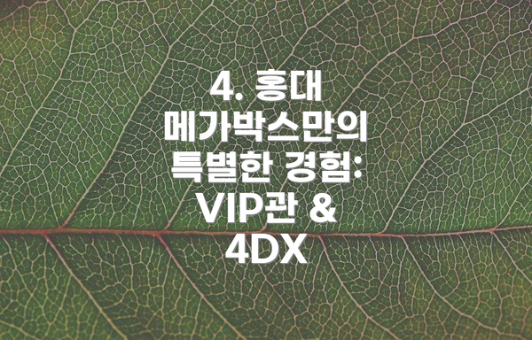 4. 홍대 메가박스만의 특별한 경험: VIP관 & 4DX
