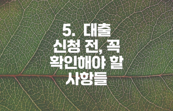 5.  대출 신청 전, 꼭 확인해야 할 사항들