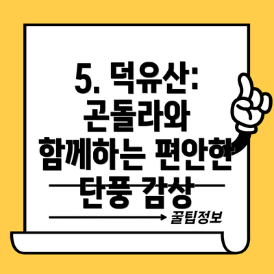 5. 덕유산: 곤돌라와 함께하는 편안한 단풍 감상