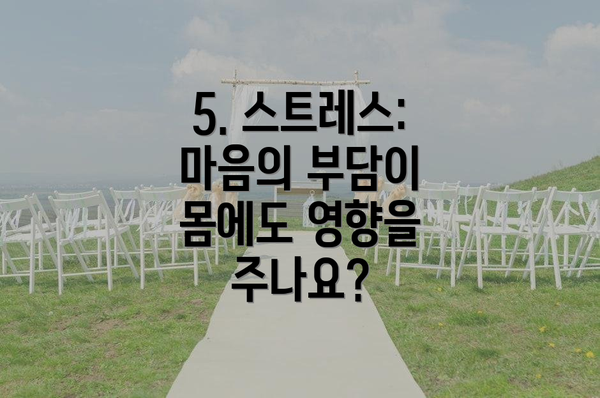 5. 스트레스: 마음의 부담이 몸에도 영향을 주나요?